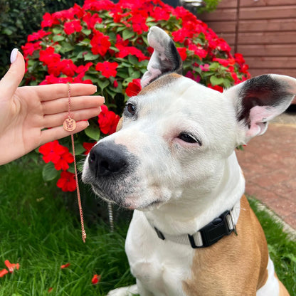 Colar com Rosto de Animal Personalizado