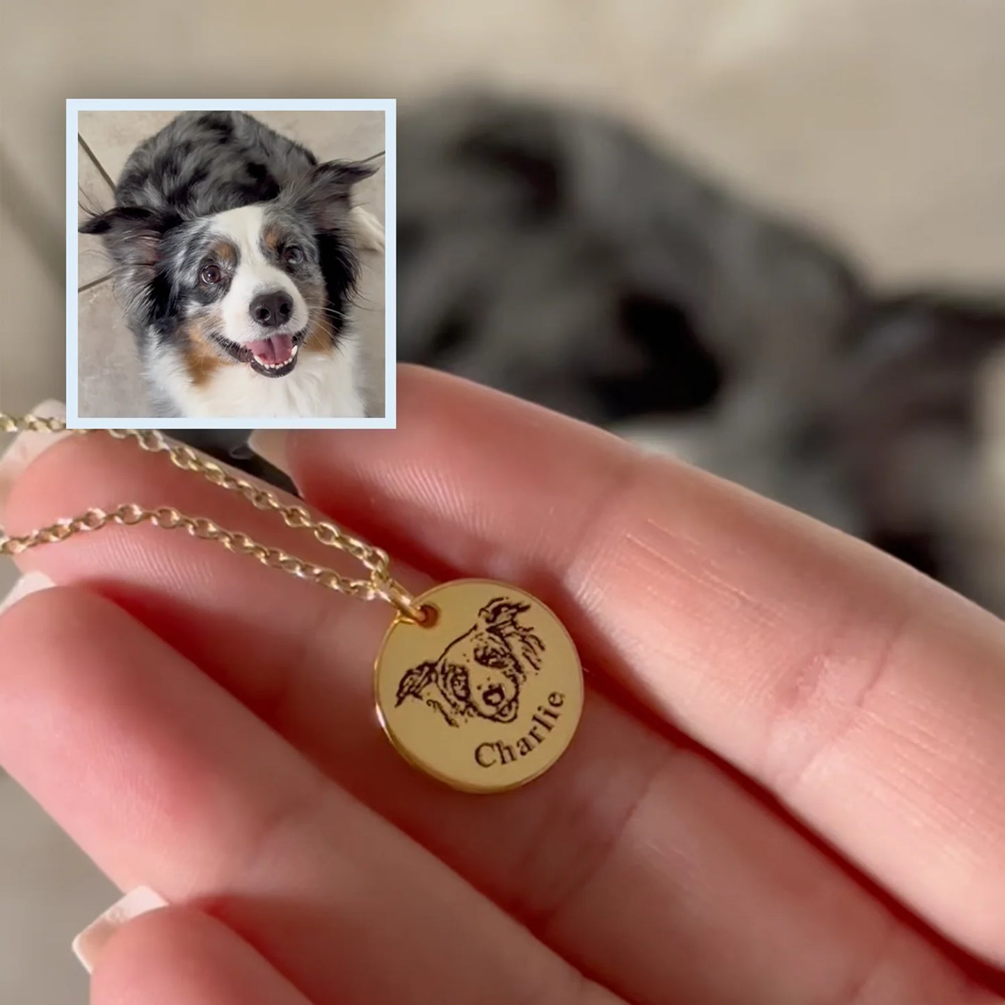 Colar com Rosto de Animal Personalizado