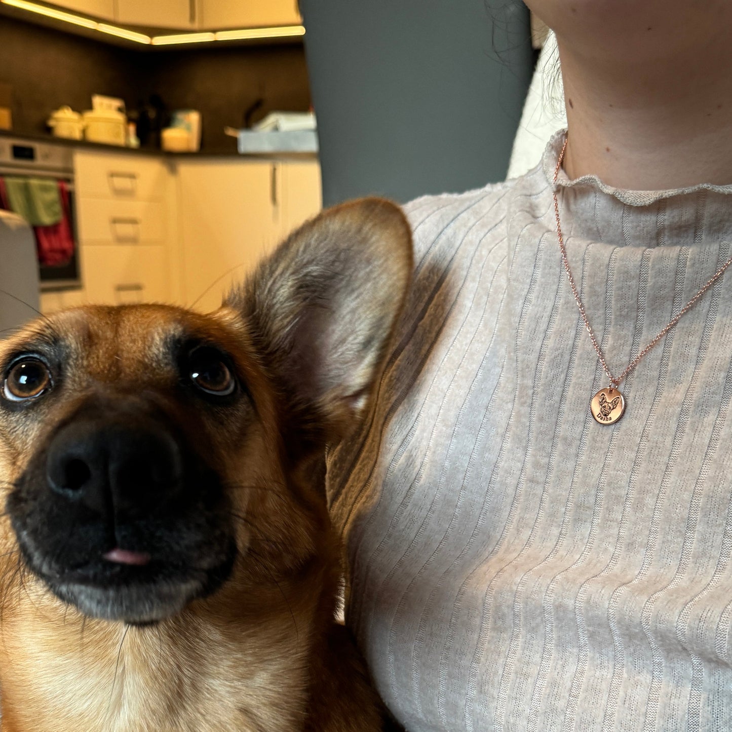 Colar com Rosto de Animal Personalizado